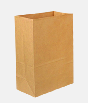 Bolsasa Kraft Comerciales